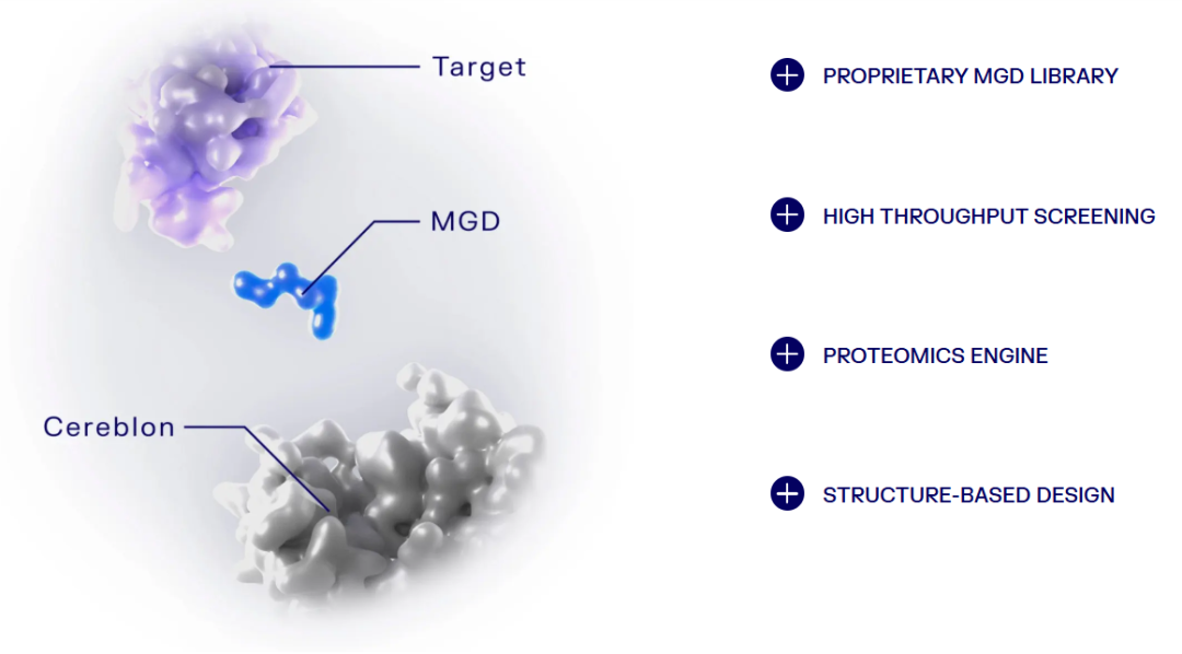 诺华加注分子胶竞赛，再买VAV1 MGD